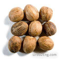 nutmeg Urdu Meaning