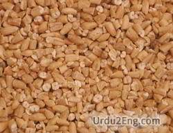 oat Urdu Meaning