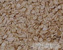 oat Urdu Meaning