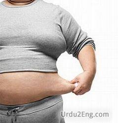 obesity Urdu Meaning