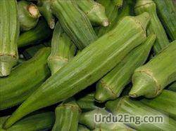 okra Urdu Meaning
