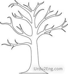 outline Urdu Meaning