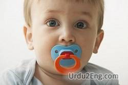 pacifier Urdu Meaning