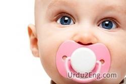 pacifier Urdu Meaning