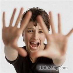 panic Urdu Meaning