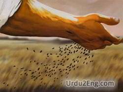 parable Urdu Meaning