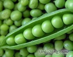 pea Urdu Meaning