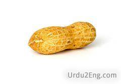 peanut Urdu Meaning