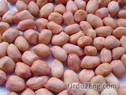 peanut Urdu Meaning