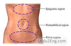 pelvic Urdu Meaning