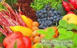 perishable Urdu Meaning