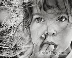 photograph Urdu Meaning
