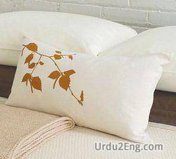 pillow Urdu Meaning