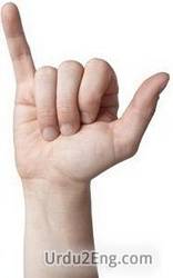 pinky Urdu Meaning