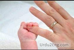 pinky Urdu Meaning