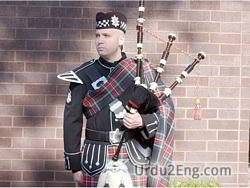 piper Urdu Meaning