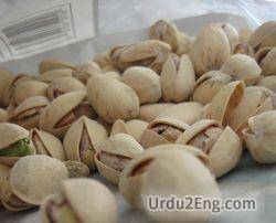 pistachio Urdu Meaning