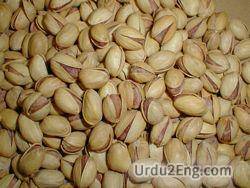 pistachio Urdu Meaning