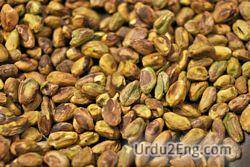 pistachio Urdu Meaning
