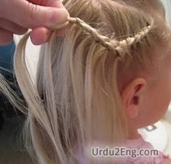 plait Urdu Meaning