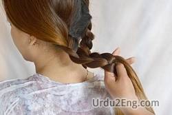 plait Urdu Meaning