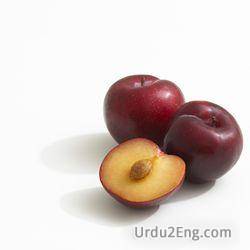 plum Urdu Meaning