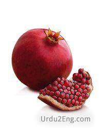 pomegranate Urdu Meaning
