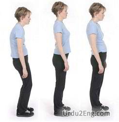 posture Urdu Meaning