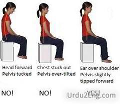 posture Urdu Meaning