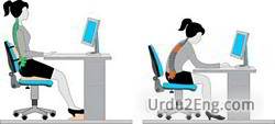 posture Urdu Meaning