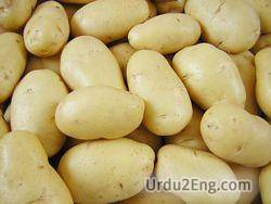 potato Urdu Meaning