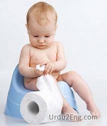 potty Urdu Meaning