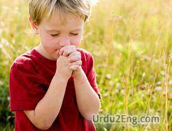 pray Urdu Meaning