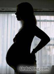 pregnant Urdu Meaning