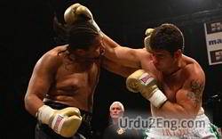 prizefighter Urdu Meaning