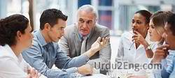 professional Urdu Meaning