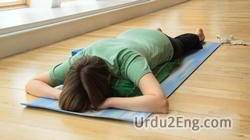 prone Urdu Meaning