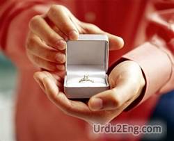 propose Urdu Meaning