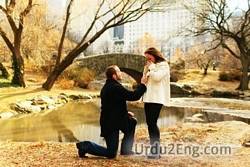 propose Urdu Meaning