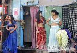 prostitution Urdu Meaning