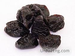 prune Urdu Meaning