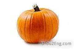 pumpkin Urdu Meaning