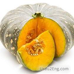 pumpkin Urdu Meaning