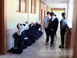 punish Urdu Meaning