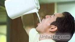 quickly Urdu Meaning
