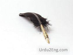 quill Urdu Meaning