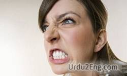 rage Urdu Meaning