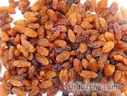 raisin Urdu Meaning