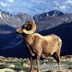 ram Urdu Meaning