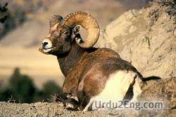 ram Urdu Meaning